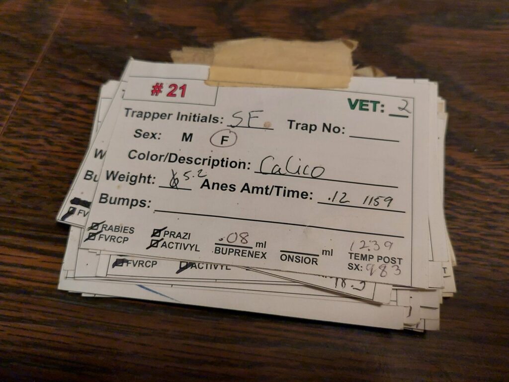 A thick taped stack of clinic cards on a table. The top card is filled in by hand: number 21, trapper initials S F, sex female, color calico, weight, anesthetic amount and time, rabies and FVRCP vaccines, and a post-operative temperature of 98.3